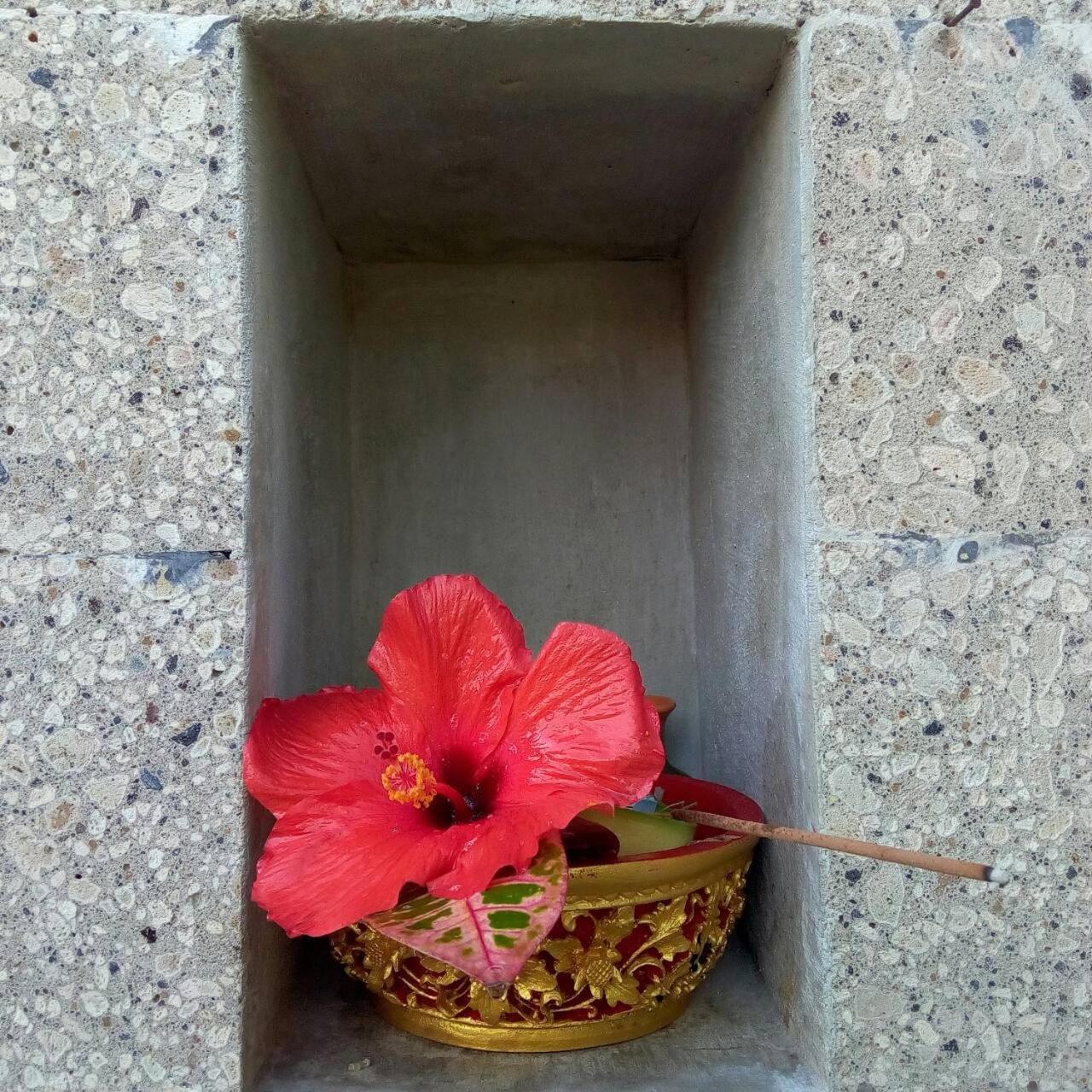 Arnaya Homestay Kuta Lombok Exteriér fotografie